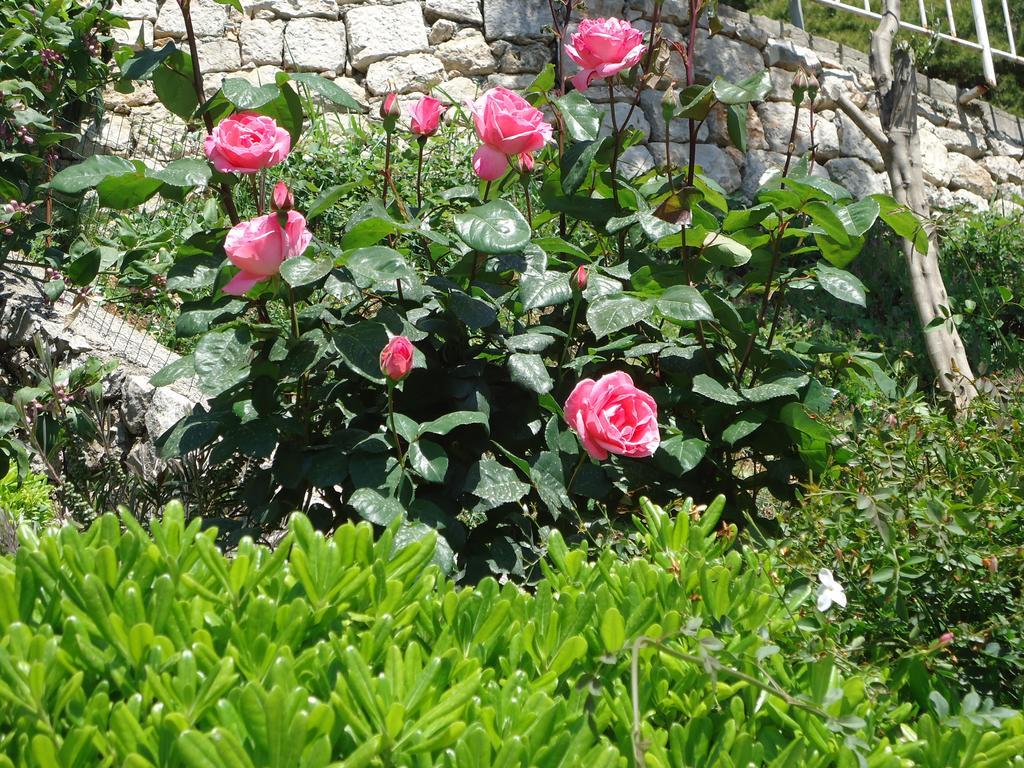 Peric Dubrovnik